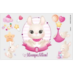 Vasalható 1 hónapos lettem-kislány minta