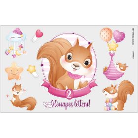 Vasalható 2 hónapos lettem-kislány minta