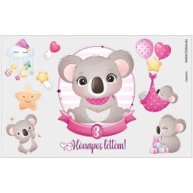 Vasalható 3 hónapos lettem-kislány minta