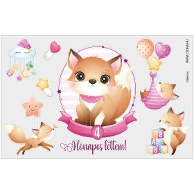 Vasalható 4 hónapos lettem-kislány minta