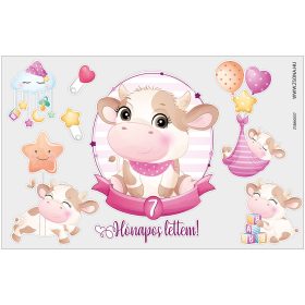 Vasalható 7 hónapos lettem-kislány minta