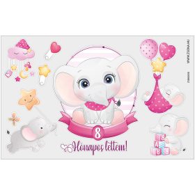 Vasalható 8 hónapos lettem-kislány minta