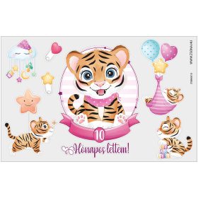 Vasalható 10 hónapos lettem-kislány minta