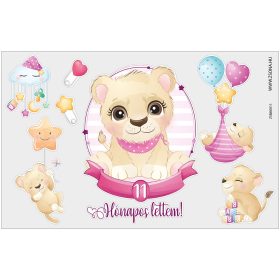 Vasalható 11 hónapos lettem-kislány minta