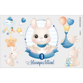 Vasalható 1 hónapos lettem-kisfiú minta