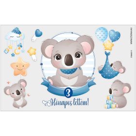 Vasalható 3 hónapos lettem-kisfiú minta