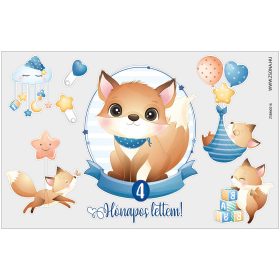 Vasalható 4 hónapos lettem-kisfiú minta