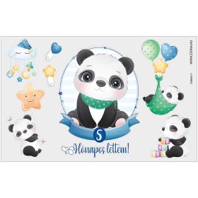 Vasalható 5 hónapos lettem-kisfiú minta