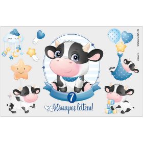 Vasalható 7 hónapos lettem-kisfiú minta