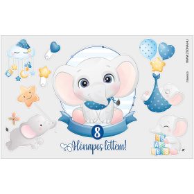 Vasalható 8 hónapos lettem-kisfiú minta