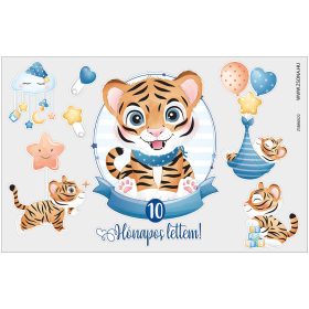 Vasalható 10 hónapos lettem-kisfiú minta