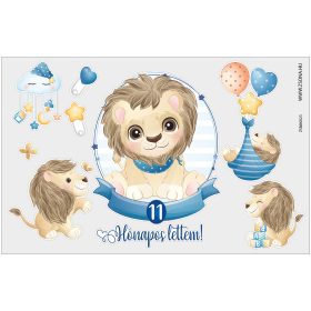 Vasalható 11 hónapos lettem-kisfiú minta