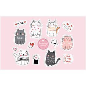 Vasalható állatos-cica2 matrica csomag