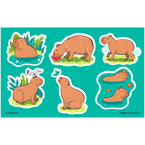 Öntapadós állatos-kapibara matrica csomag