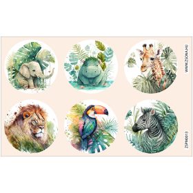 Vasalható szafari matrica csomag