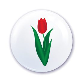 Nápis do škôlky na skriňu s tulipánovým vzorom