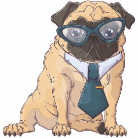 Pug Dog - Sport táska fehér