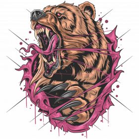 Grizzly medve - Sport táska fehér